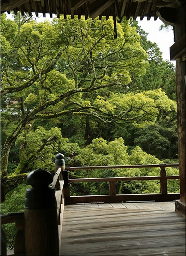 p2242817733.jpg