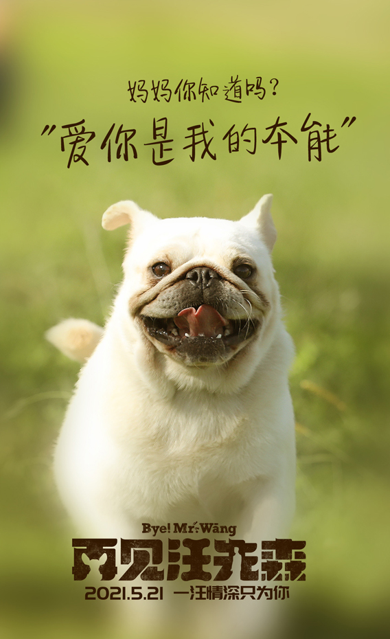 17c9c9fc70a99e312183e22b1584ba2a1309792