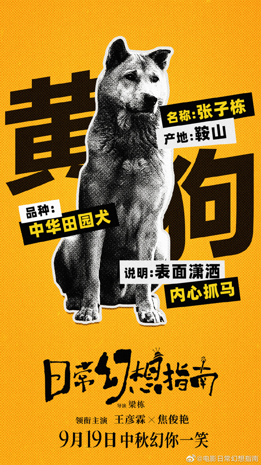 007Kozhyly1gsfa9a8d64j30u01hcx6q