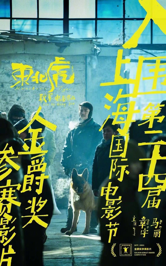 入围上海金爵奖主竞赛