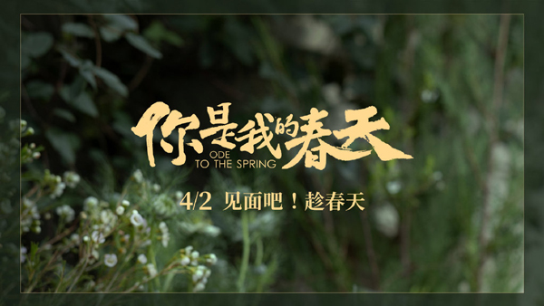 剧照 (1)
