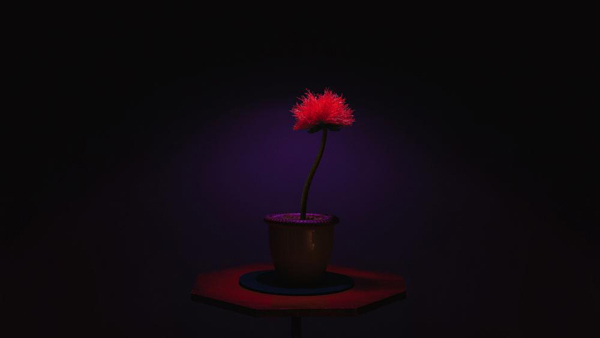 剧照 (8)