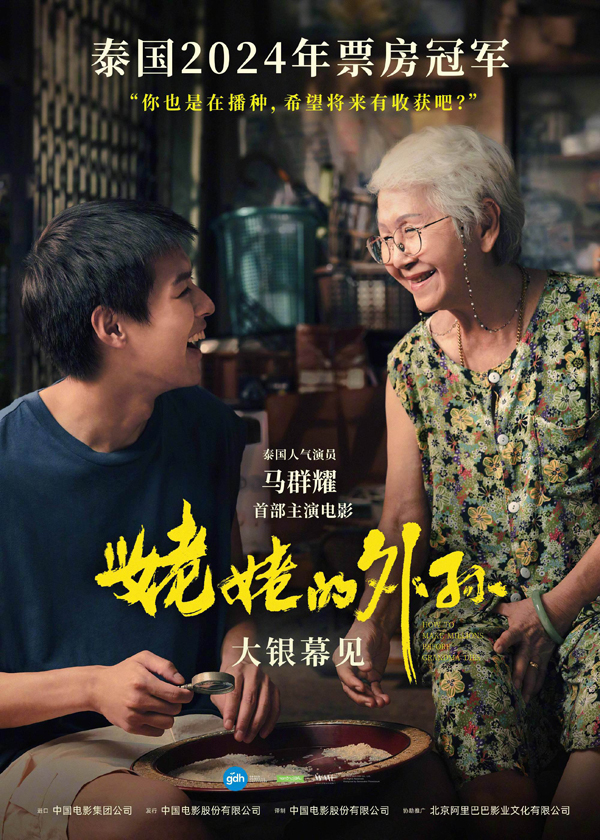 姥姥的外孙 (2)