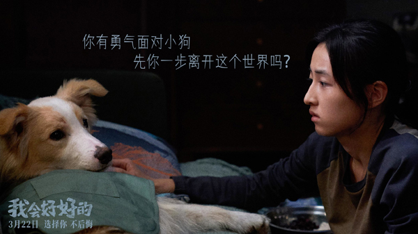 我会好好的剧照 (4)