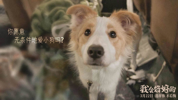 我会好好的剧照 (2)