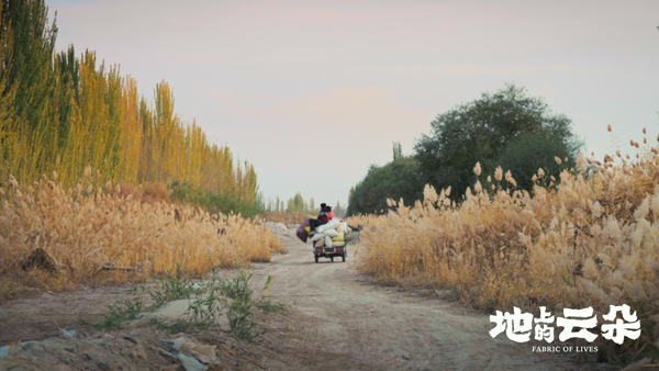 地上的云朵  (4)