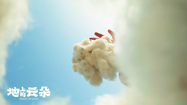 地上的云朵  (7)