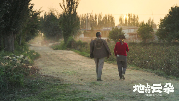 地上的云朵  (5)