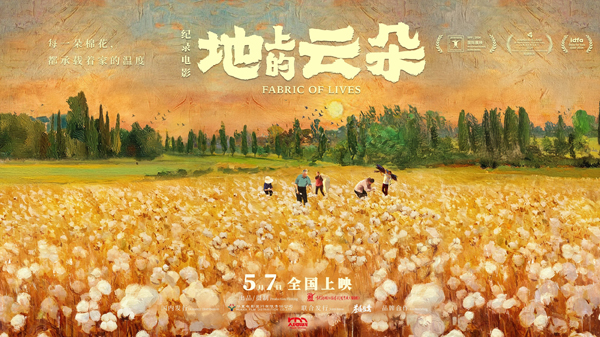 地上的云朵  (1)