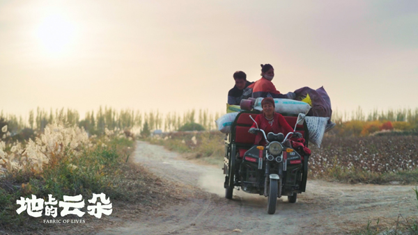 地上的云朵  (2)