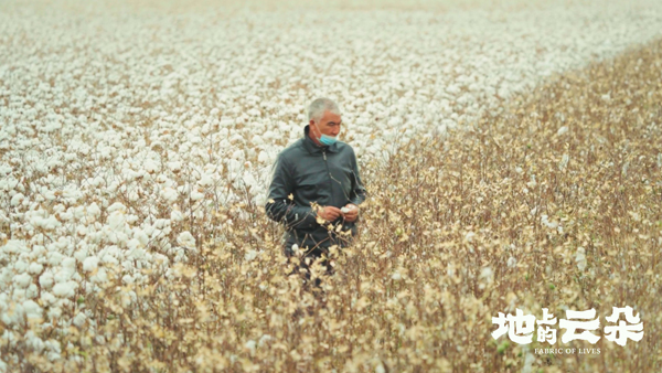 地上的云朵  (3)