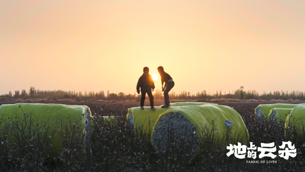 地上的云朵  (6)