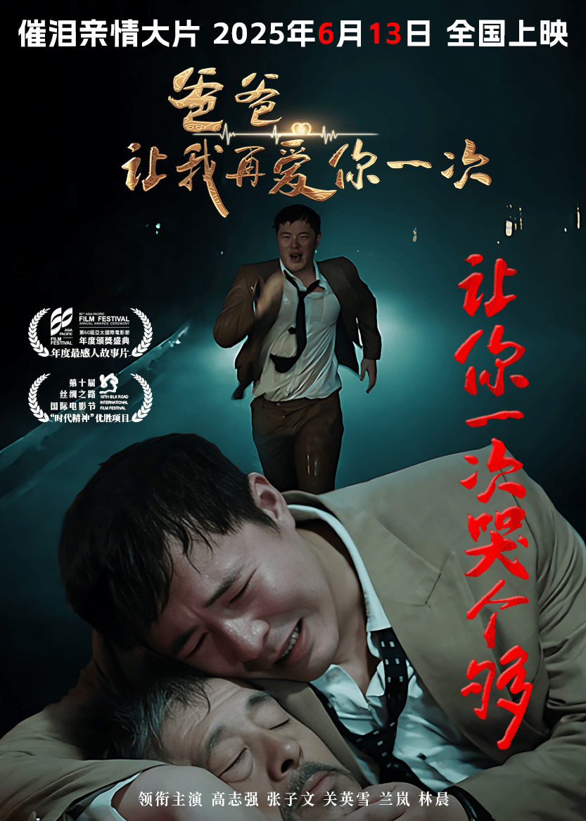 爸爸，让我再爱你一次 (2)