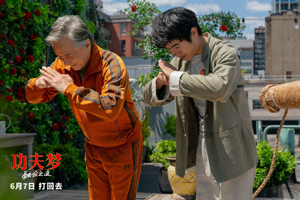 功夫梦：融合之道剧照 (3)