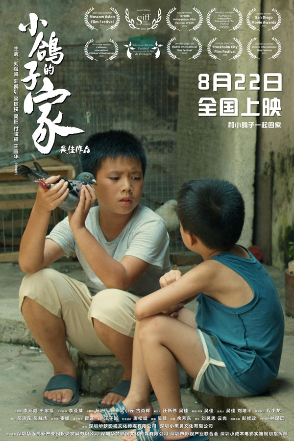 小鸽子的家 (5)
