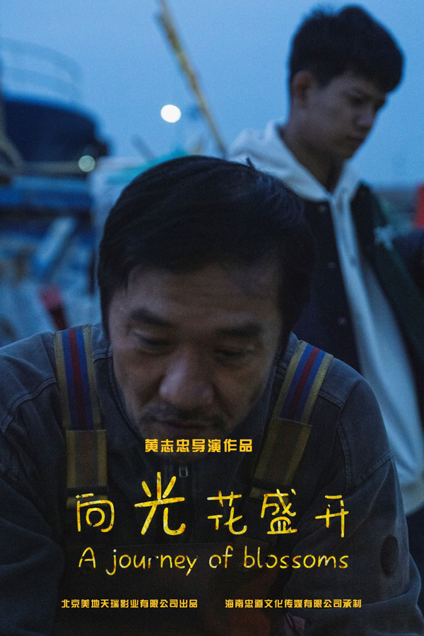 向光花盛开 (2)