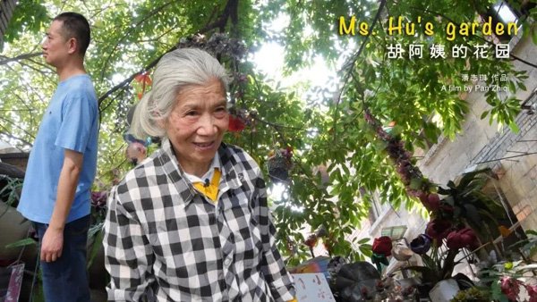 胡阿姨的花园 (3)