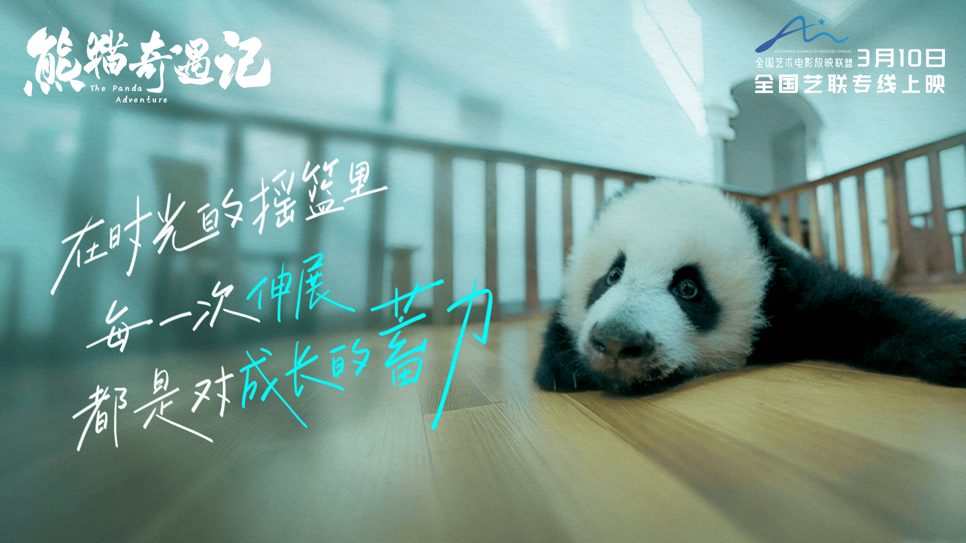 熊猫奇遇记剧照 (1)