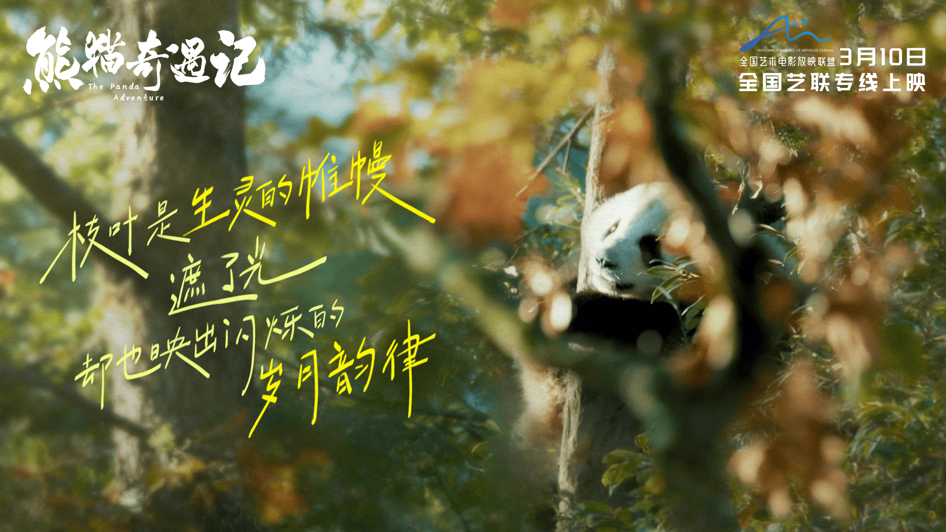 熊猫奇遇记剧照 (3)
